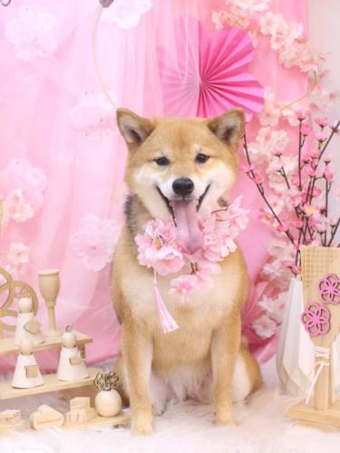 20250326リンちゃん